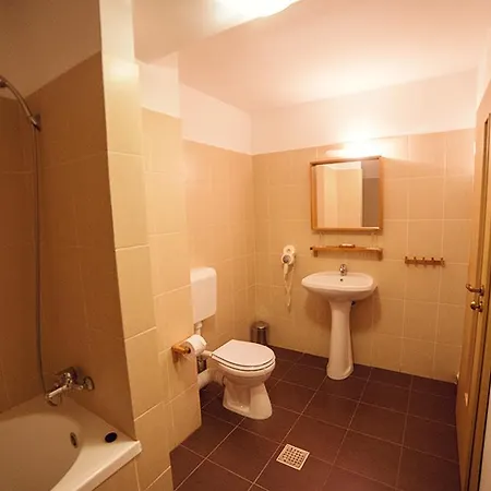 Pensiunea Comarnic-moisa Guest house Comarnic